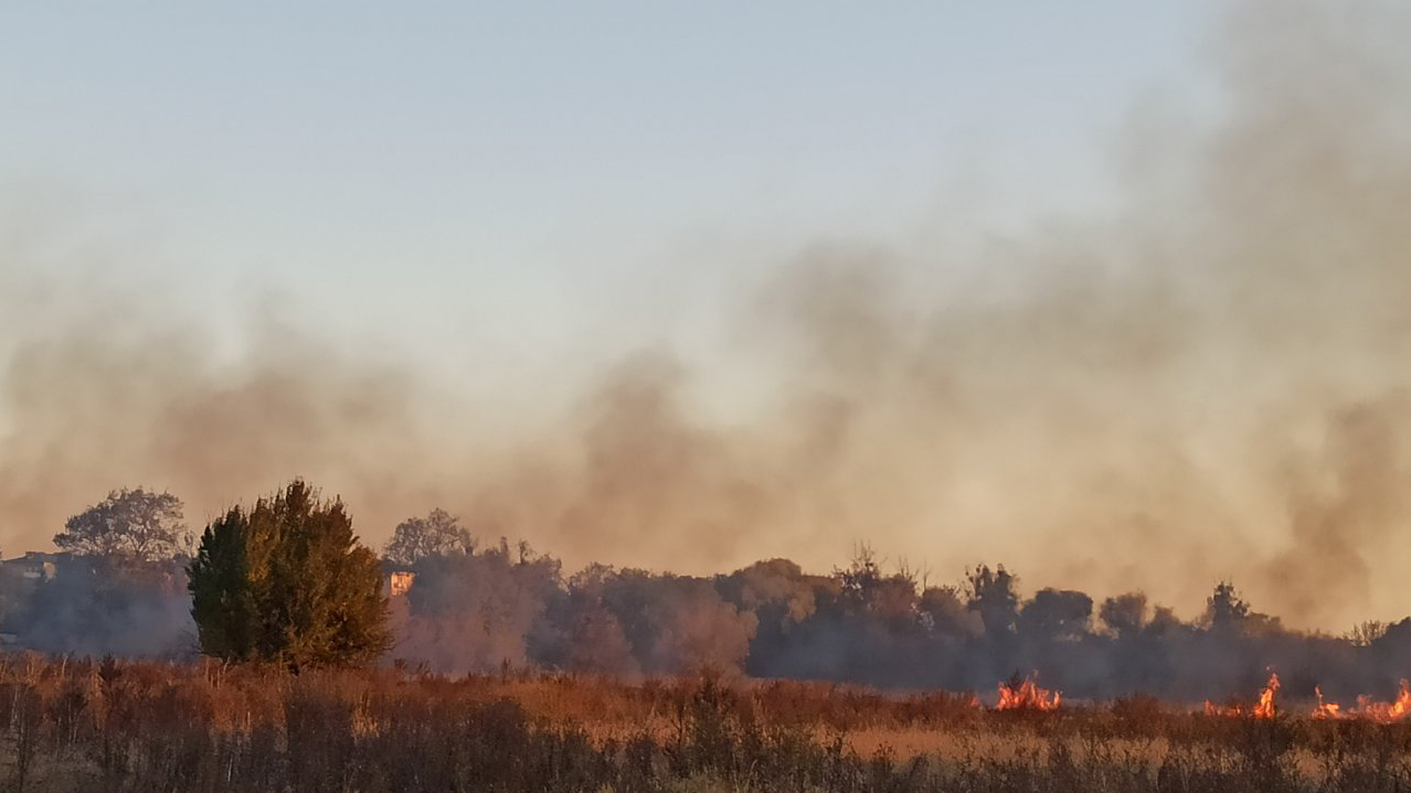 Пожежна небезпека: чому не можна спалювати рештки сухої трави